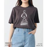 トップス カットソー 半袖 | Honeys | 詳細画像4