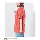 トップス Tシャツ 半袖Tシャツ | Honeys | 詳細画像15 