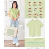 トップス Tシャツ 半袖Tシャツ | Honeys | 詳細画像15