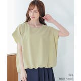 トップス ブラウス 半袖 | Honeys | 詳細画像14 