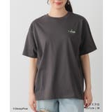 トップス Tシャツ 半袖Tシャツ | Honeys | 詳細画像6 