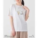 トップス Tシャツ 半袖Tシャツ | Honeys | 詳細画像3