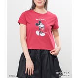 トップス Tシャツ 半袖Tシャツ | Honeys | 詳細画像6