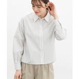 オフストライプ | トップス ブラウス 長袖 | Honeys