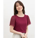 ピンクパープル | トップス カットソー 半袖 | Honeys