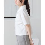 トップス カットソー 半袖 | Honeys | 詳細画像12 