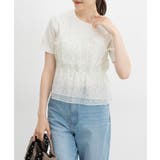 オフ水玉 | トップス カットソー 半袖 | Honeys
