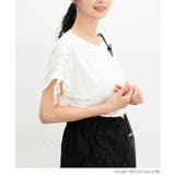 【ハニーズ】トップス カットソー 半袖 | Honeys | 詳細画像4