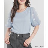 トップス カットソー 半袖 | Honeys | 詳細画像12