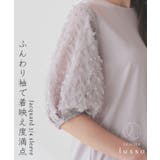 トップス カットソー クルーネック | Honeys | 詳細画像2