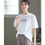 【ハニーズ】トップス Tシャツ 半袖Tシャツ | Honeys | 詳細画像11 