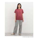 トップス Tシャツ 半袖Tシャツ | Honeys | 詳細画像10 