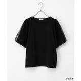 トップス カットソー 半袖 | Honeys | 詳細画像12 