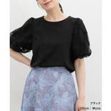 トップス カットソー 半袖 | Honeys | 詳細画像6 
