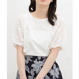 ホワイト | トップス カットソー 半袖 | Honeys