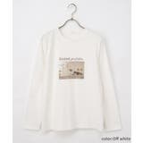 トップス Tシャツ ロンＴ | Honeys | 詳細画像12 