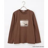 トップス Tシャツ ロンＴ | Honeys | 詳細画像16 