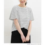 トップス カットソー 半袖 | Honeys | 詳細画像11 