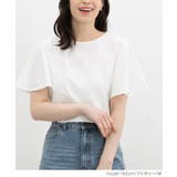トップス カットソー 半袖 | Honeys | 詳細画像4 