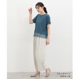 トップス カットソー 半袖 | Honeys | 詳細画像7 