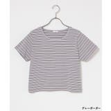 トップス カットソー 半袖 | Honeys | 詳細画像13 