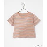 トップス カットソー 半袖 | Honeys | 詳細画像14 