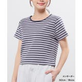 トップス カットソー 半袖 | Honeys | 詳細画像3 