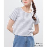 トップス カットソー 半袖 | Honeys | 詳細画像5 
