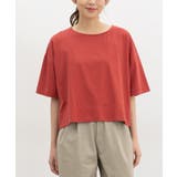 トップス Tシャツ 半袖Tシャツ | Honeys | 詳細画像11