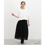 トップス Tシャツ 半袖Tシャツ | Honeys | 詳細画像3