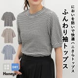 トップス カットソー 半袖 | Honeys | 詳細画像1