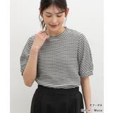 トップス カットソー 半袖 | Honeys | 詳細画像4