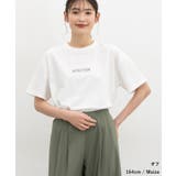 トップス Tシャツ 半袖Tシャツ | Honeys | 詳細画像4 