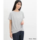 トップス カットソー 半袖 | Honeys | 詳細画像12