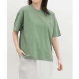 グリーン | トップス Tシャツ 半袖Tシャツ | Honeys