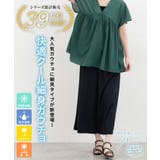 ボトムス パンツ ガウチョパンツ | Honeys | 詳細画像2