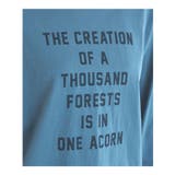 トップス Tシャツ ロンＴ | Honeys | 詳細画像16 