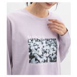 トップス Tシャツ カットソー | Honeys | 詳細画像4