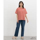トップス Tシャツ 半袖Tシャツ | Honeys | 詳細画像12 
