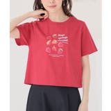 トップス Tシャツ 半袖Tシャツ | Honeys | 詳細画像13