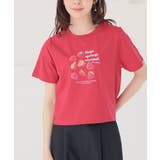 レッド | トップス Tシャツ 半袖Tシャツ | Honeys