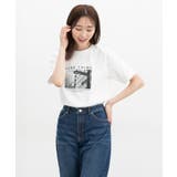 【ハニーズ】トップス Tシャツ カットソー | Honeys | 詳細画像13