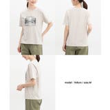【ハニーズ】トップス Tシャツ カットソー | Honeys | 詳細画像14
