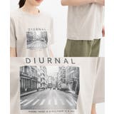 【ハニーズ】トップス Tシャツ カットソー | Honeys | 詳細画像15