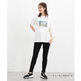 トップス Tシャツ 半袖Tシャツ | Honeys | 詳細画像12 