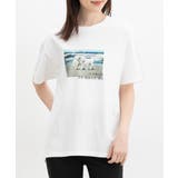 トップス Tシャツ 半袖Tシャツ | Honeys | 詳細画像13 