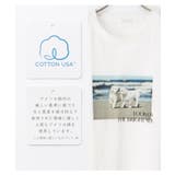 トップス Tシャツ 半袖Tシャツ | Honeys | 詳細画像3 