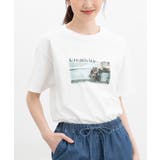 トップス Tシャツ 半袖Tシャツ | Honeys | 詳細画像5 