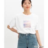 【ハニーズ】トップス Tシャツ 半袖Tシャツ | Honeys | 詳細画像14 