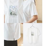 【ハニーズ】トップス Tシャツ 半袖Tシャツ | Honeys | 詳細画像16 